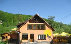 Pensiunea Colt Alb